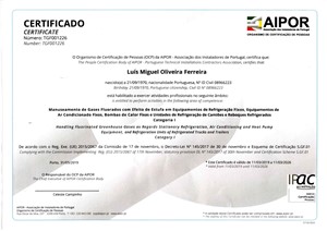 Certificado 5